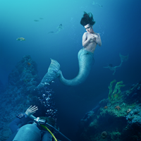 Spotlight: Peter Holst’s Underwater Adventure